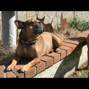 Meet your Posher, Teri